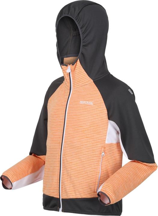 Produktbild Regatta Prenton II Softshelljacke mit Kapuze (170, 176)