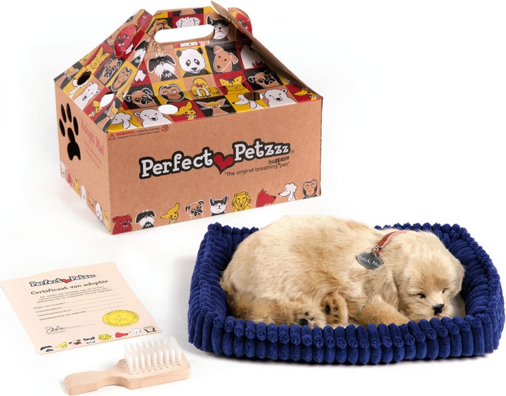Produktbild Perfect Petzzz Weicher goldener Apportierhund (22 cm)