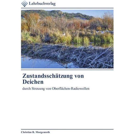 Zustandsschätzung von Deichen, Fachbücher von Christian R. Morgenroth