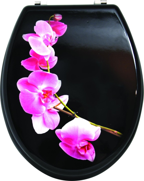 Black, Lanyu