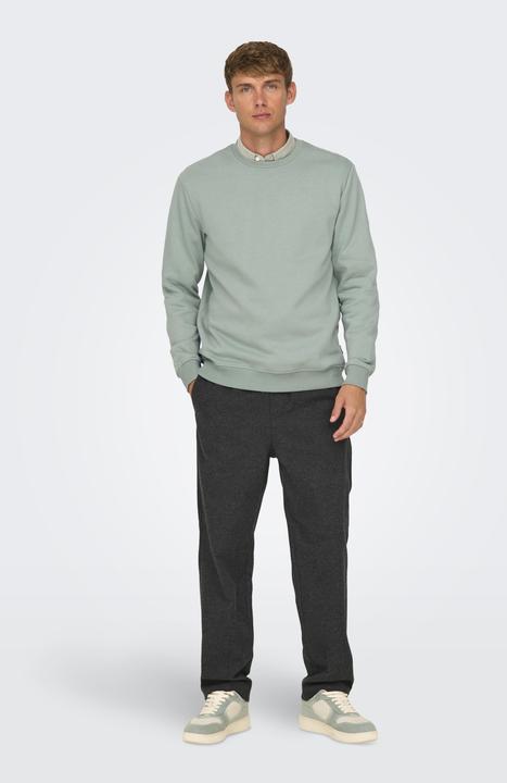 Produktbild Only & Sons Onsconnor Reg Crew Neck Sweat Noos (XXL)