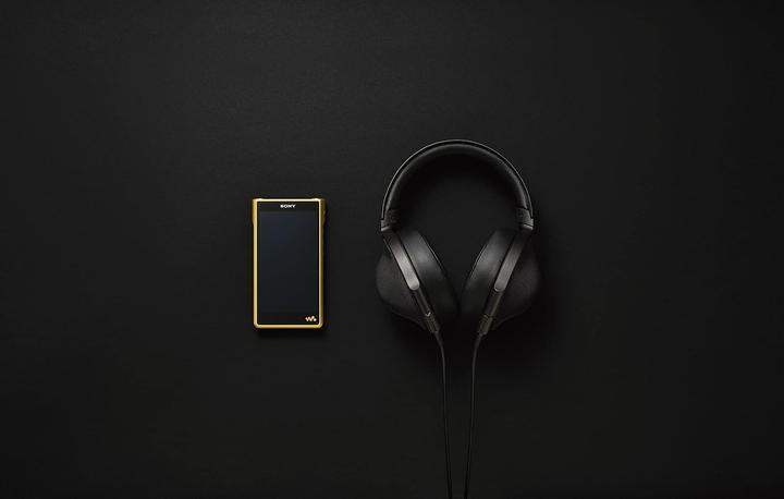 Produktbild Sony NW-WM1ZM2 (256 GB)