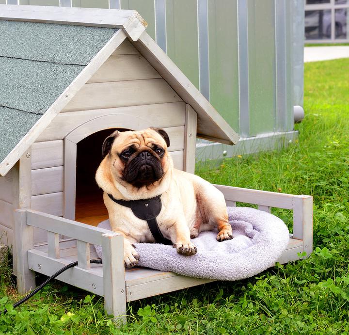 Produktbild Infactory Hunde- und Katzenkissen (Hund)