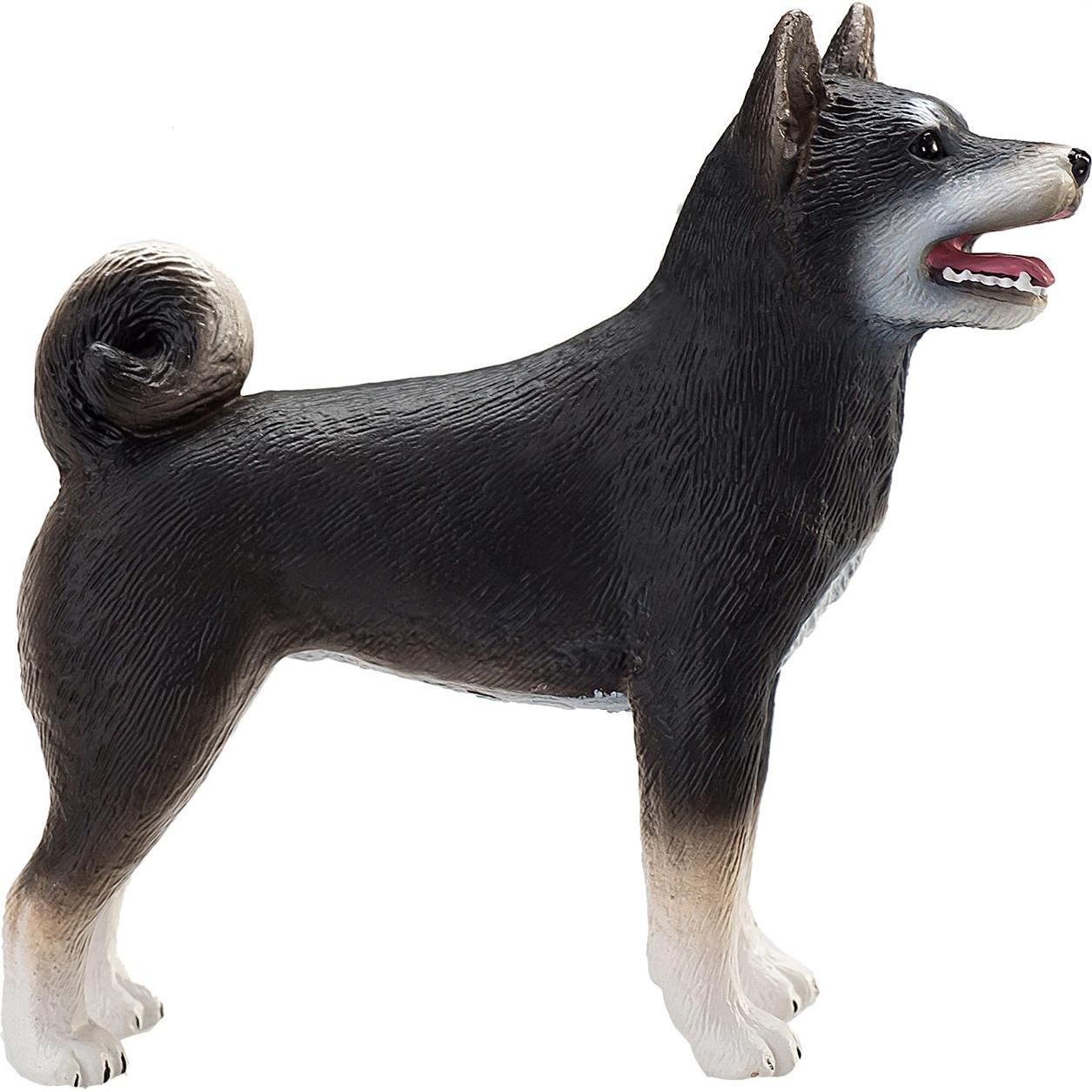 Thumbnail - Animal Planet Shiba Inu