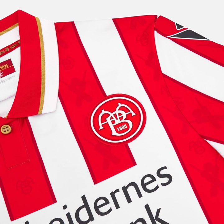 Actual product image Macron Aalborg BK Jersey (L)
