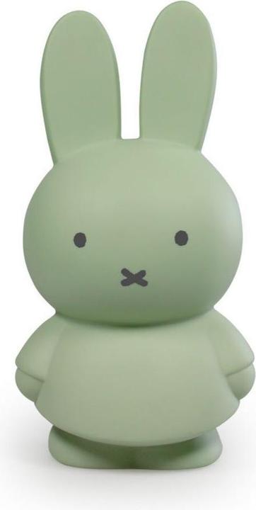 Produktbild Smiffys ATELIER PIERRE Häschen medium Eucalyptus