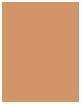 Immagine prodotto Erborian CC Water Fresh Complexion Gel Perfezionatore di Pelle (Caramel)