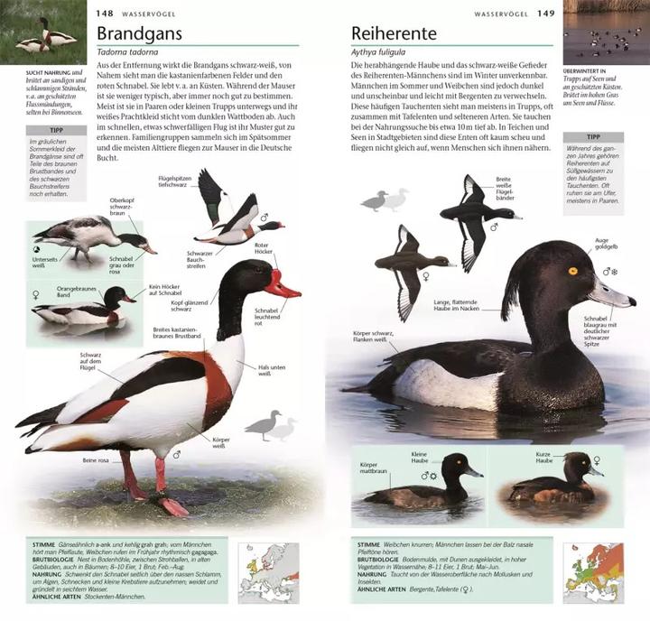 Produktbild Vögel (Deutsch, Eva Sixt, John Woodward, Jonathan Elphick, 2023)