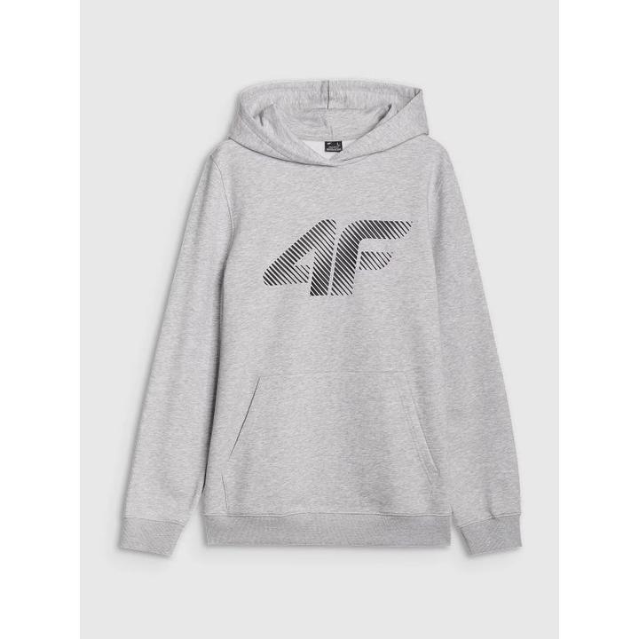 Produktbild 4F Herren-Kapuzenpullover mit offener Vorderseite (XXL)