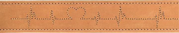 Image du produit Trixie Rustic Vetleer Collier Hond Heartbeat Bruin (Chien, Sport canin)