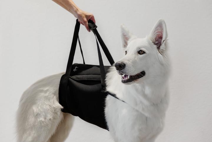Immagine prodotto Deek Pets Cinghia di trasporto "Walker" per cani (Cane)
