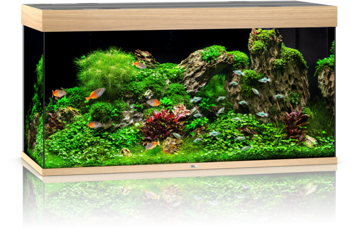 Immagine prodotto Juwel Aquarium Rio (350 l)
