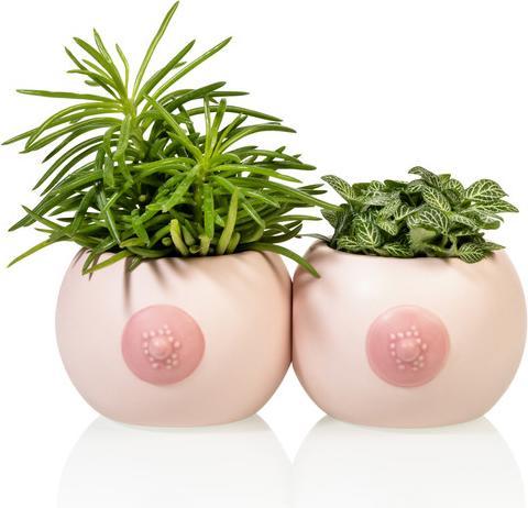 Produktbild Bitten Boob Cups (310 ml, 1x)