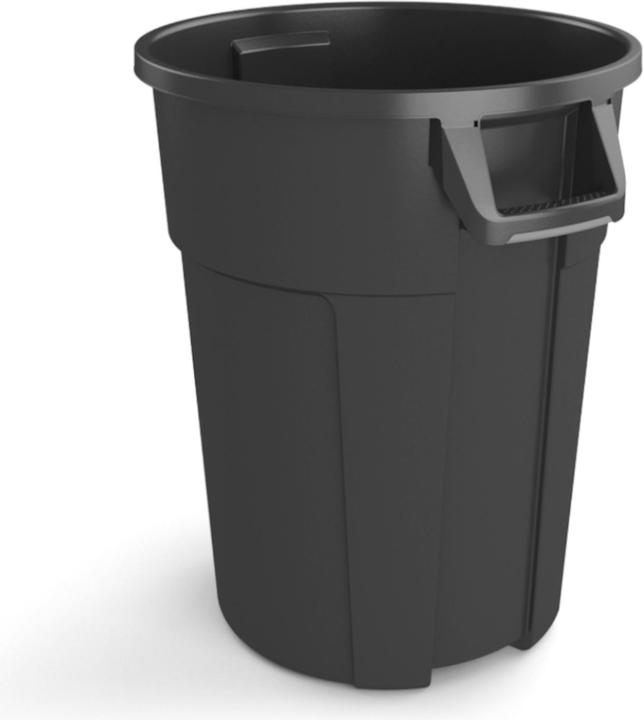 Image du produit Rotho Titan (85 l)