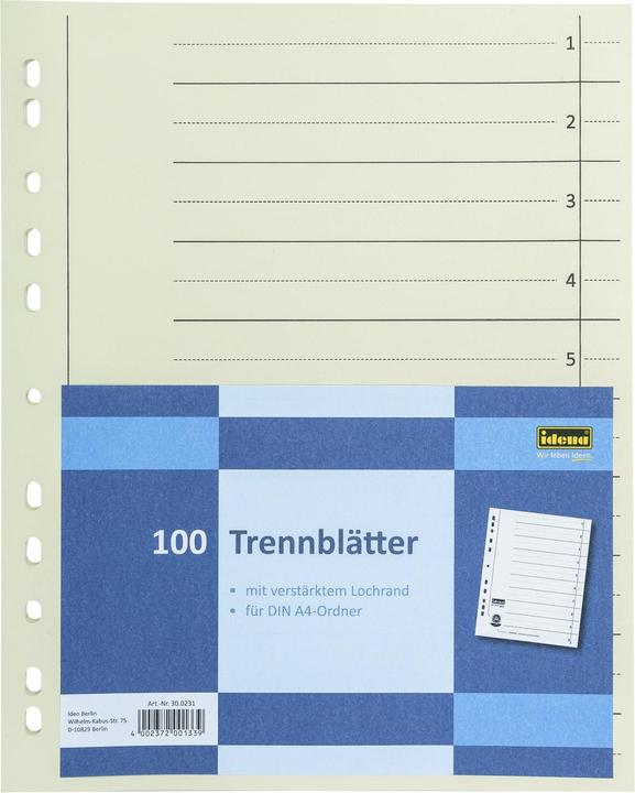 Productafbeelding Idena Verdelers karton A4 zeem 100 stuks