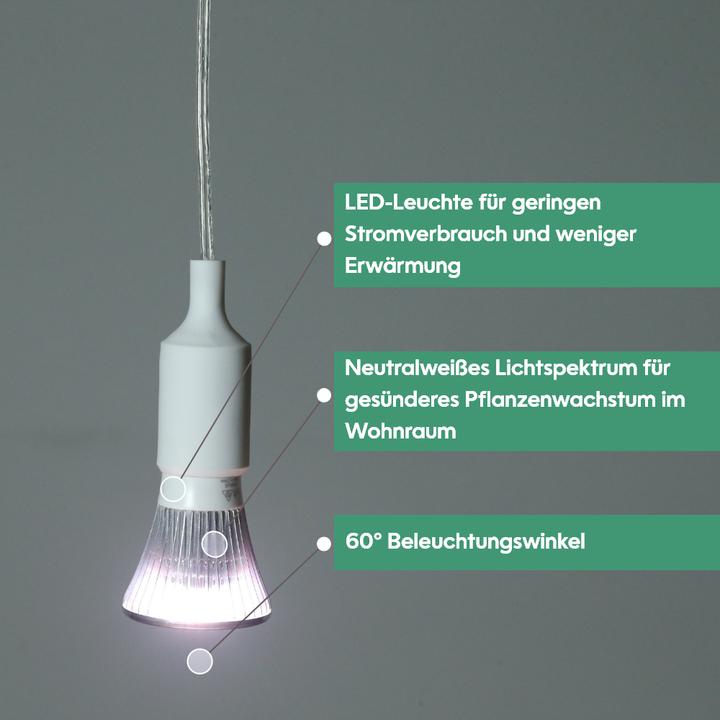 Produktbild Venso Grow Light Standard 6W 60° (LED, 245 V)