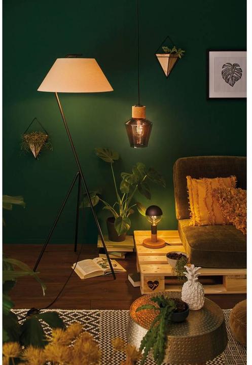 Image du produit Paulmann Edla (E27)