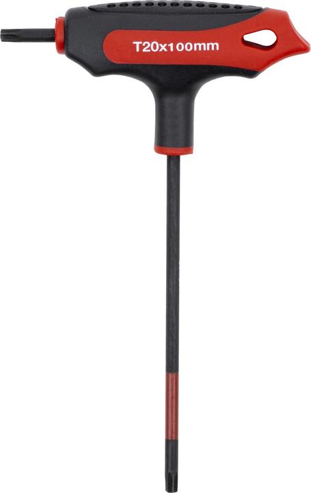 Stier Giraviti con impugnatura a T Torx TX20 (TX)
