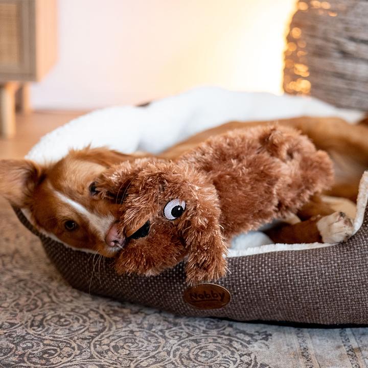 Actual product image Nobby Plush dog Schlappi (Plush toy dog)