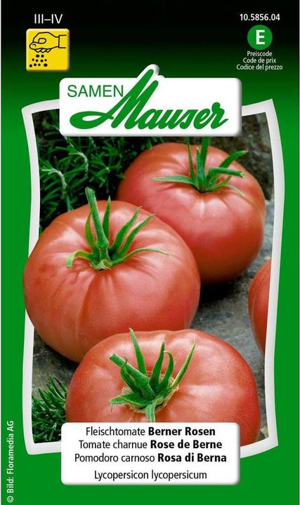 Samen Mauser Beef Tomato Bernese Roses (Vegetable seeds)