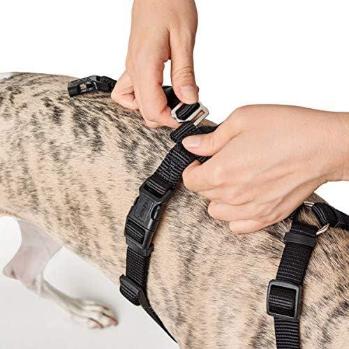 Immagine prodotto Hunter Imbracatura di sicurezza Vario Rapid (L, Cane, Generale)