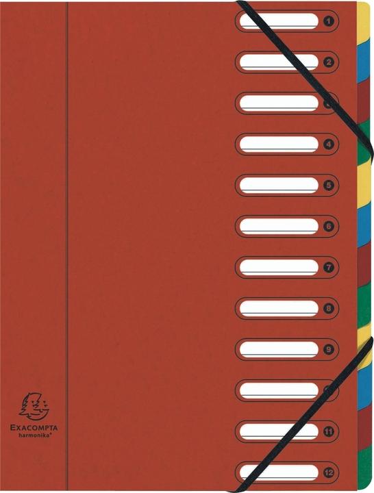Nutritional values and ingredients Exacompta Ordnungsmappe, DIN A4, 12 Fächer, Eckspanner, farbige Tabe, Deckel mit Fenster zum Beschriften, rot (A4)