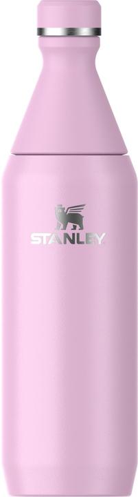 Stanley 1913 Flasche All Day Slim 0.6L Cherry (0.60 l)