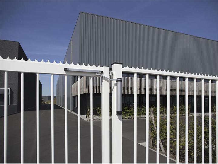 Actual product image Locinox Gate opener LION (Garden gate, Outdoor)