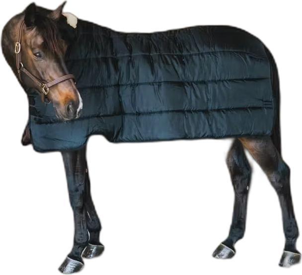 Kentucky Horsewear Pro 200g (145 cm)