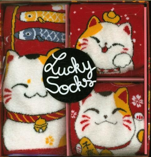 Actual product image Les goûters de la famille chaussettes chat maneki (French, Collectif, 2024)