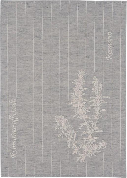 Meyer Mayor Canepa (70 x 50 cm)