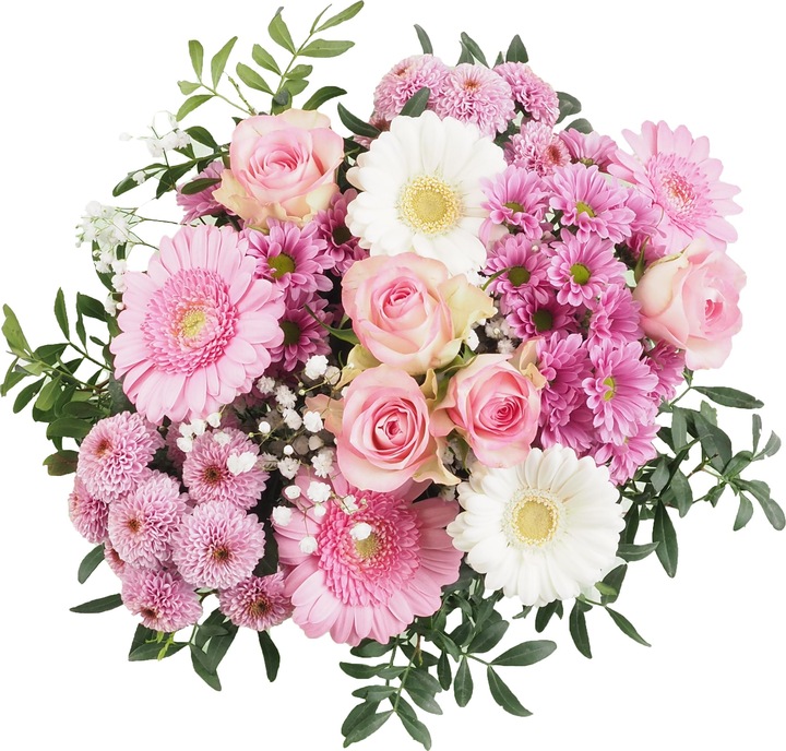 Rosa