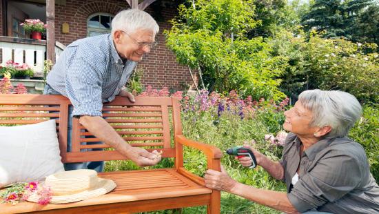 Image du produit Bosch Home & Garden Ixo