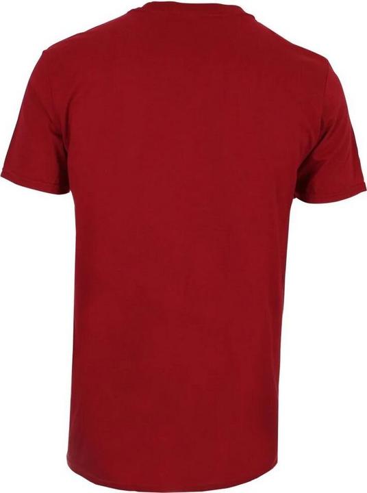 Produktbild The Flash Tshirt (XL)