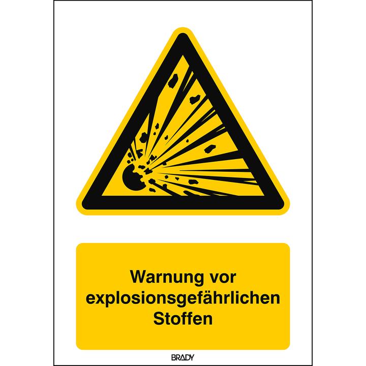 Produktbild Brady ISO 7010 PIC W002 B-7525 ISO 7010 Zeichen - Warnung vor explosionsgefährlichen Stoffen Al