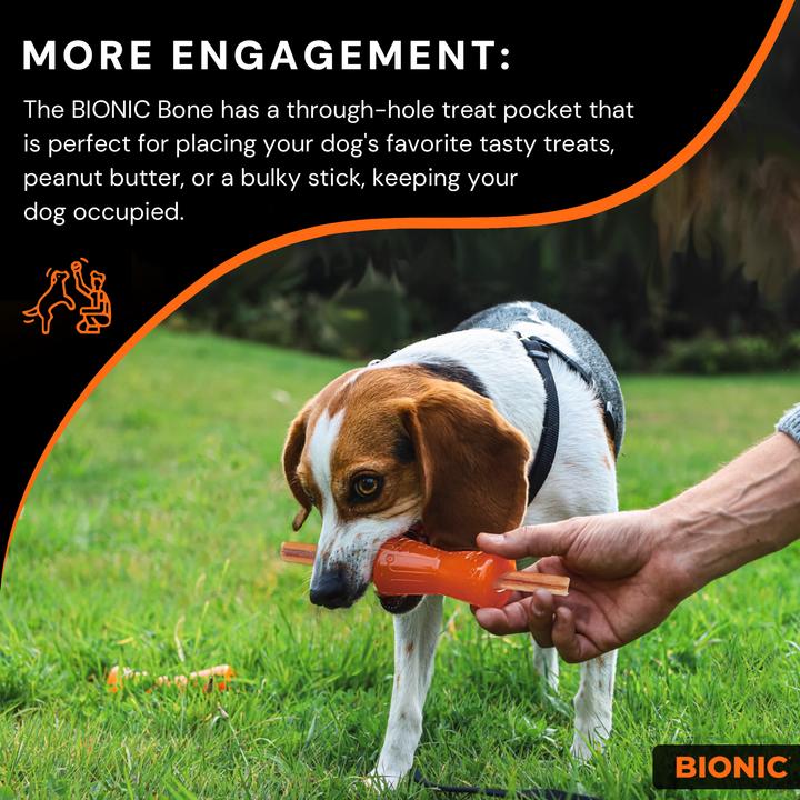 Actual product image Bionic Bone L, 13x6.4x14.5cm (Dog chew toy)