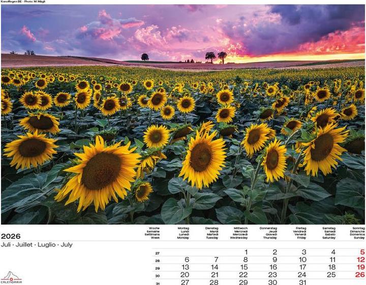 Produktbild Swiss Panorama 2026 (40 x 31 cm)