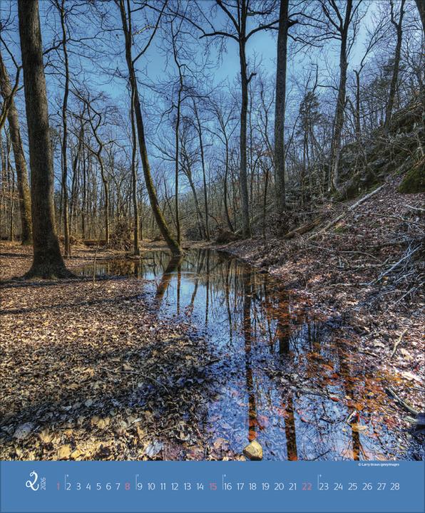 Produktbild AugenblickeimWald2026 (Spezial)