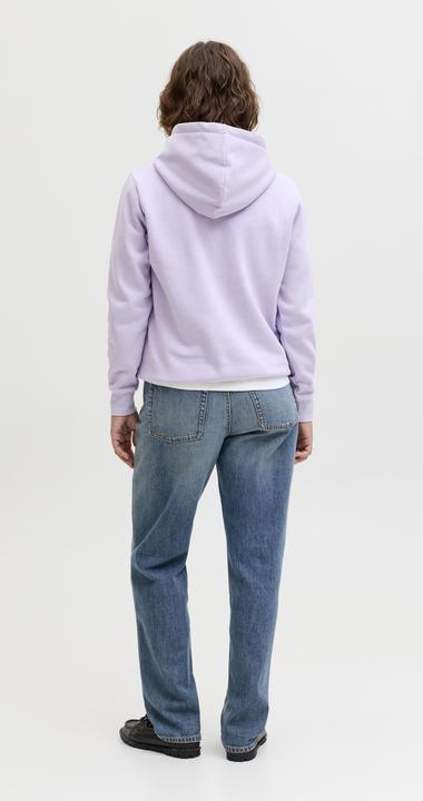 Image du produit JJXX Jxabbie Rlx Ls Every Hood Swt Noos (L)