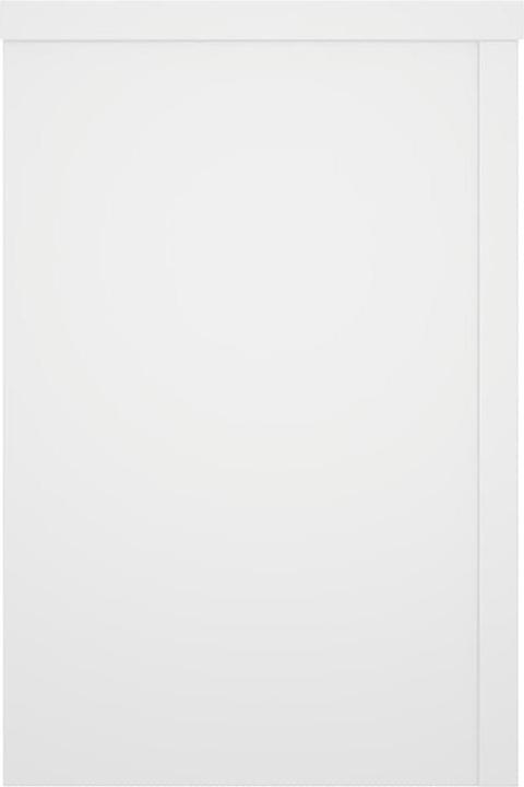 Image du produit vidaXL Supports pour plantes 2 pcs.