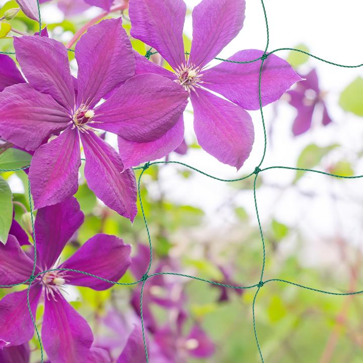 Immagine prodotto Relaxdays 4x reti-traliccio (0.10 cm, 270 cm)