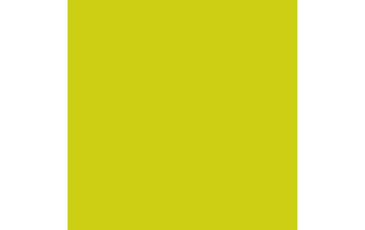 Image du produit Duni Servir (250 pcs, 24 x 24 cm)