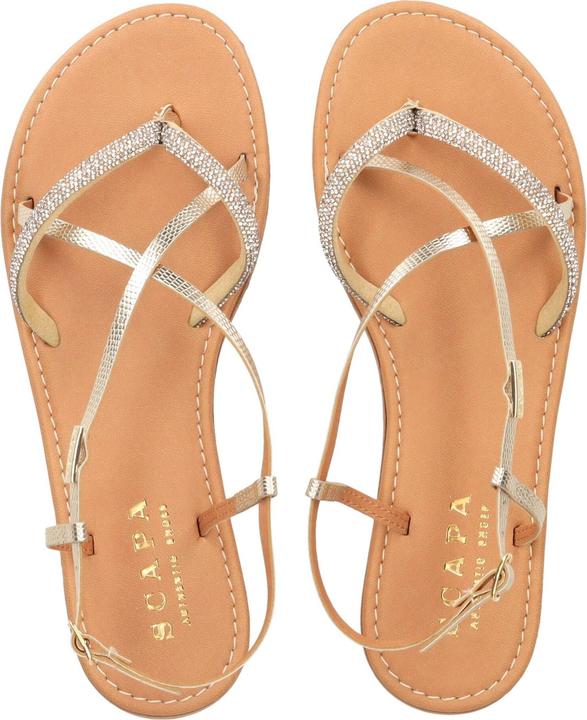 Actual product image Scapa Zehensteg (38)