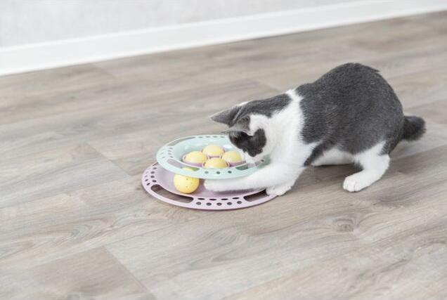 Produktbild Trixie Junior Kitten Circle (Spielangel Katze)
