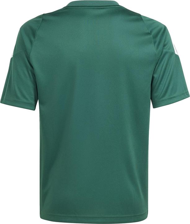 Immagine prodotto Adidas TIRO24 JSY Y (128)