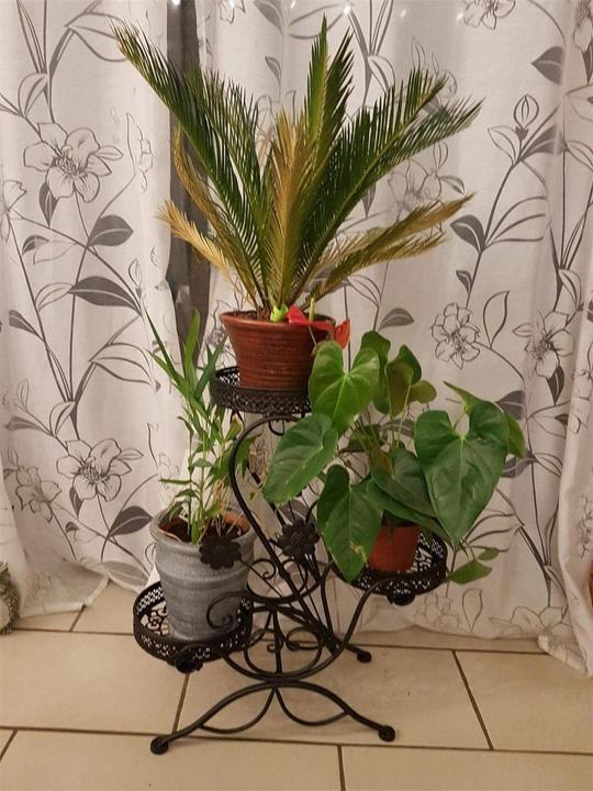Produktbild Dazone Blumenständer, Schwarz