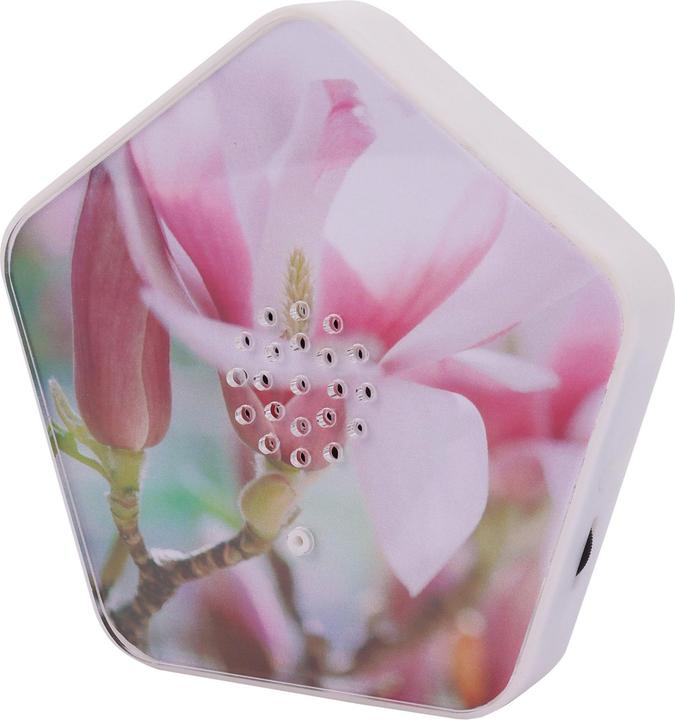 Produktbild Olympia Olymp Nature BOX