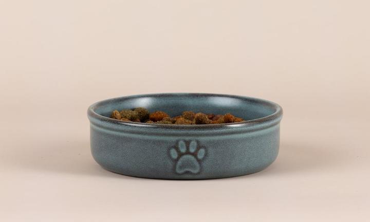 Actual product image Mason Cash Reactive paw food bowl
