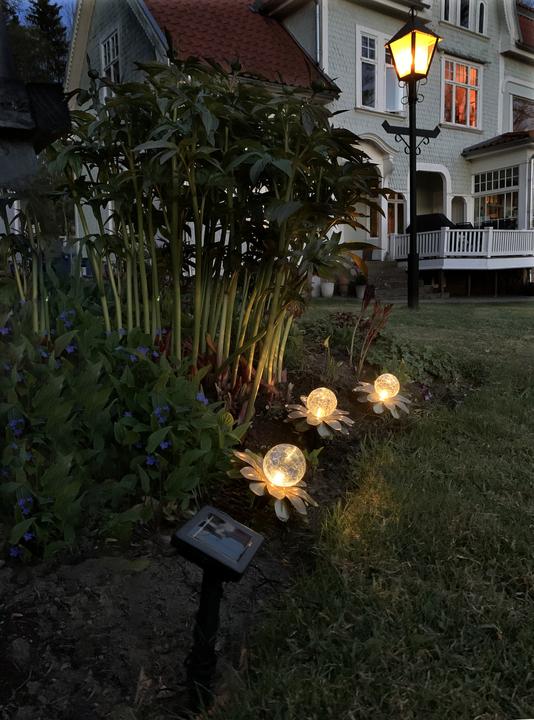 Image du produit Star Trading Solar Decoration Lilly (IP44)