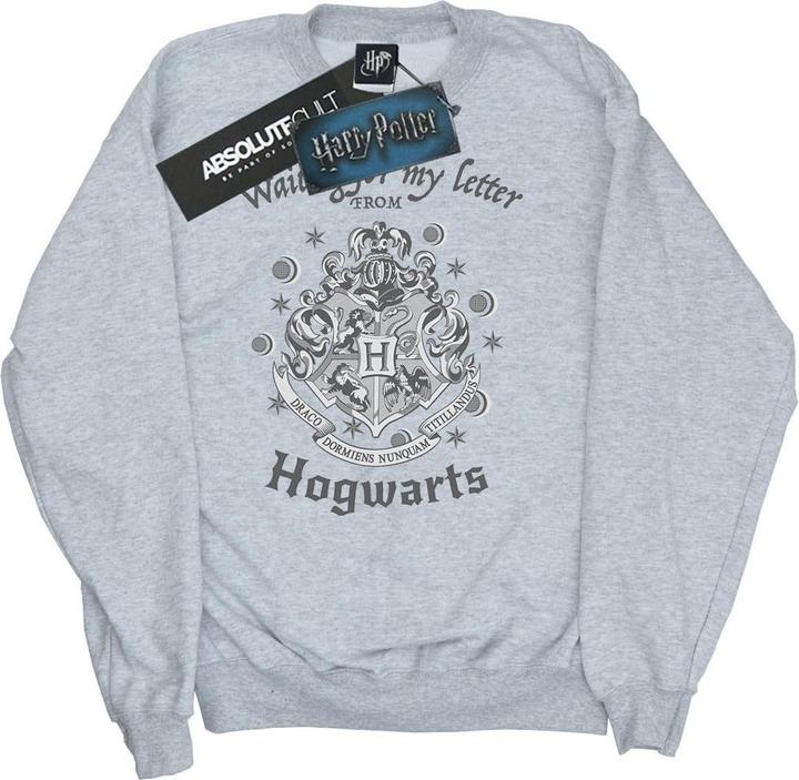 Produktbild Hogwarts Waiting For My Letter Sweatshirt (S)